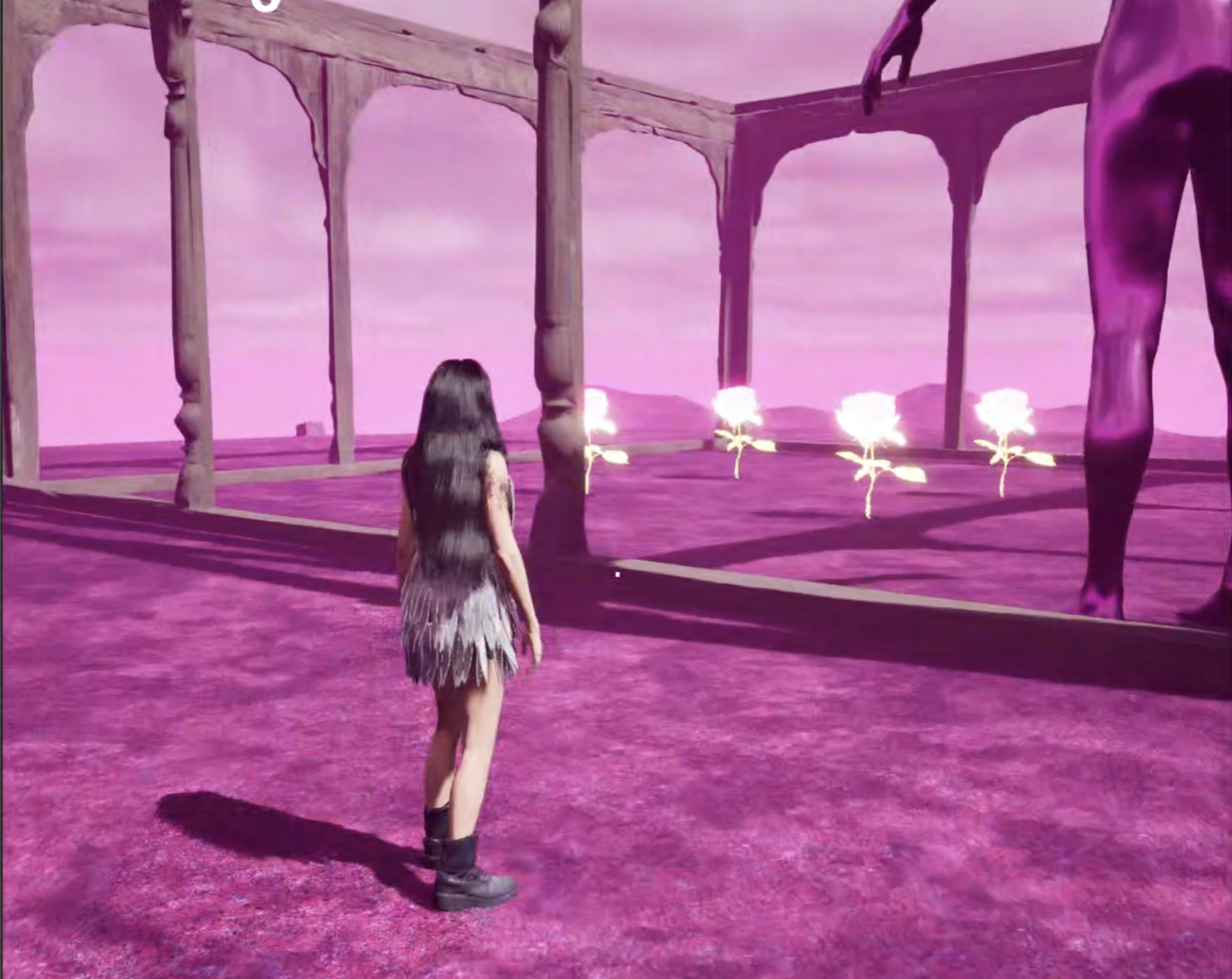 photos